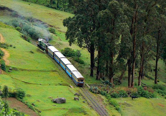 ooty bus tour package